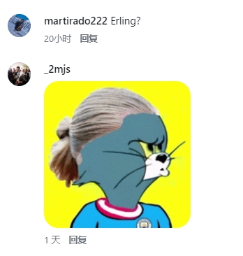 哈兰德本人下场认证“女版”走红：我同意😂